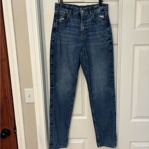 American Eagle Curvy Mom Jean